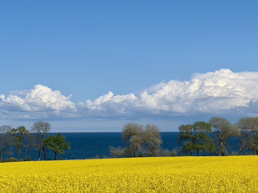 Ostküste
